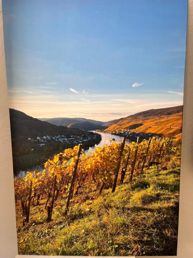 Ferienhaus Ankerpunkt Zell an der Mosel Exterior foto
